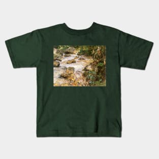 Trout Stream in the Tyrol by John Singer Sargent Kids T-Shirt